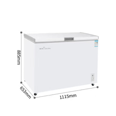Single-temperature horizontal freezer(Sui Ling)