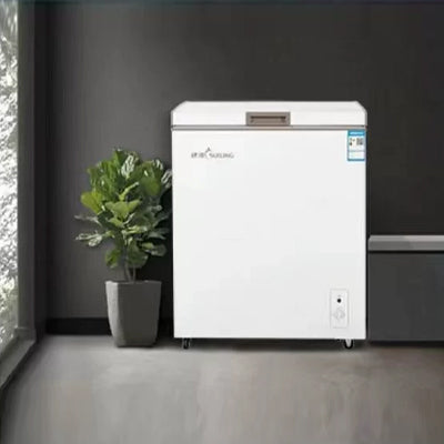 Horizontal single-temperature freezer BD-258K