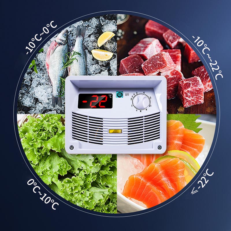 Commercial fully frozen freezer(SD/SC-600BY)