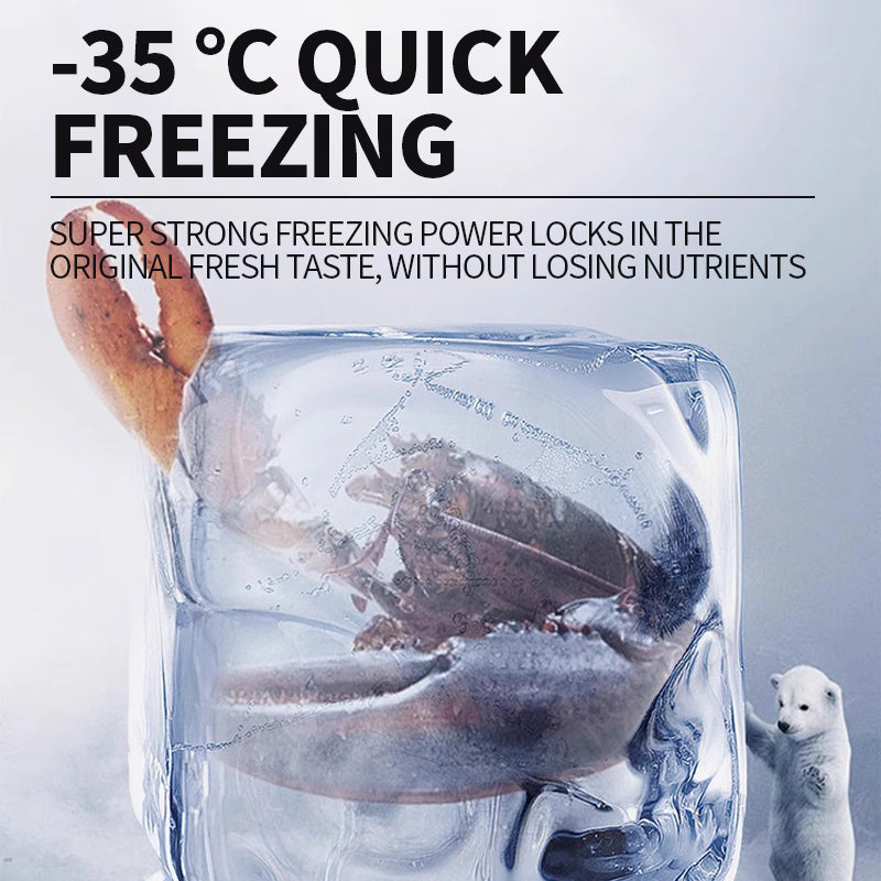 Commercial fully frozen freezer(BD/BC-518GD)