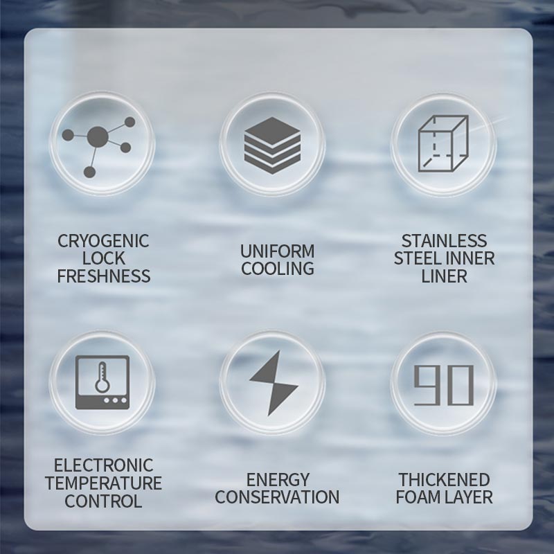 Commercial fully frozen freezer(DW-60W200DS)