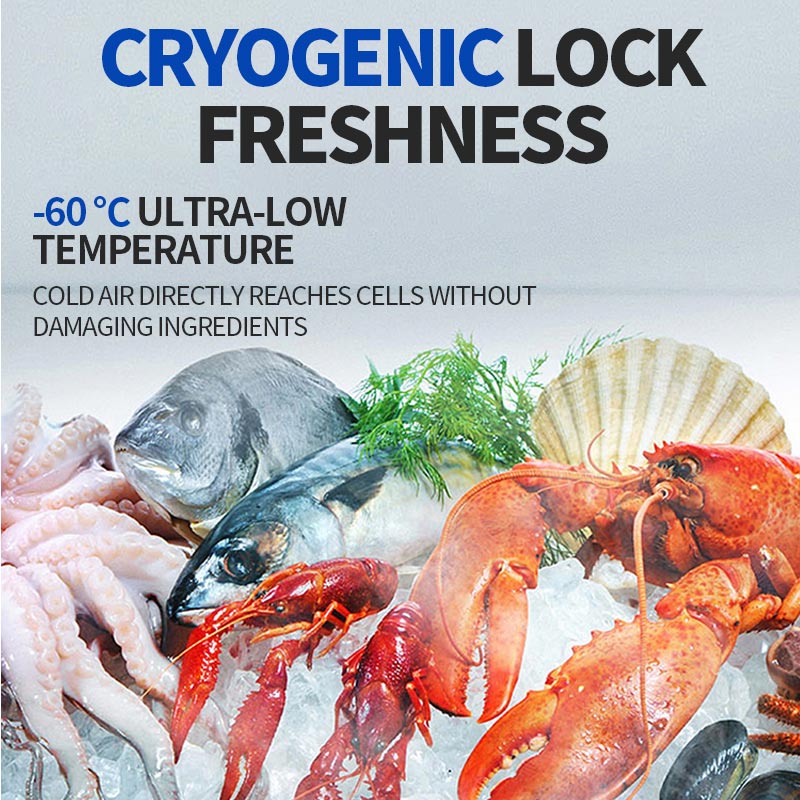 Commercial fully frozen freezer(DW-60W200DS)