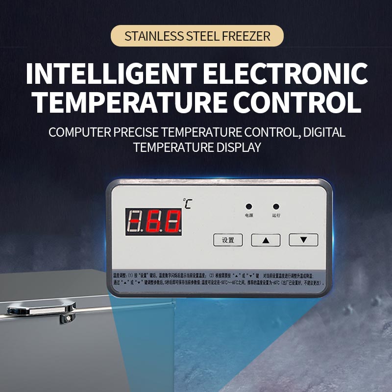 Commercial fully frozen freezer(DW-60W200DS)