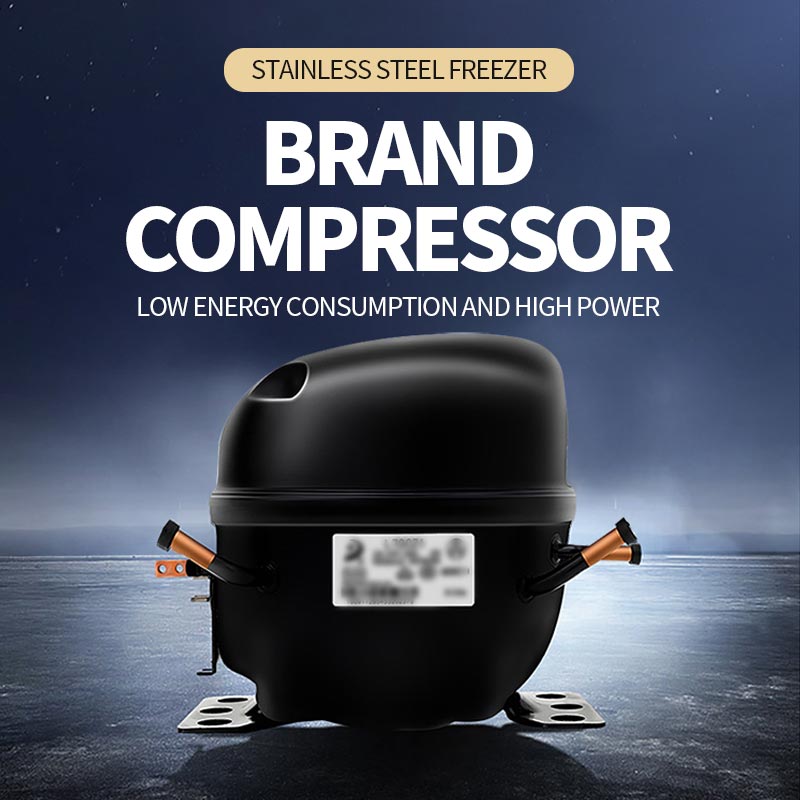 Commercial fully frozen freezer(SD/SC-790BYQ)