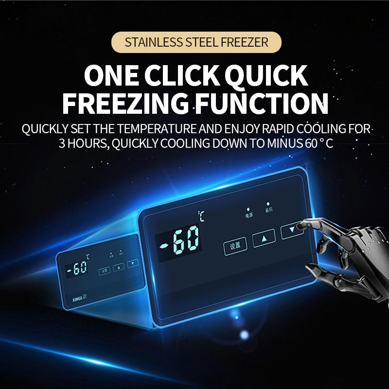 Commercial fully frozen freezer(DW-60W200DS)