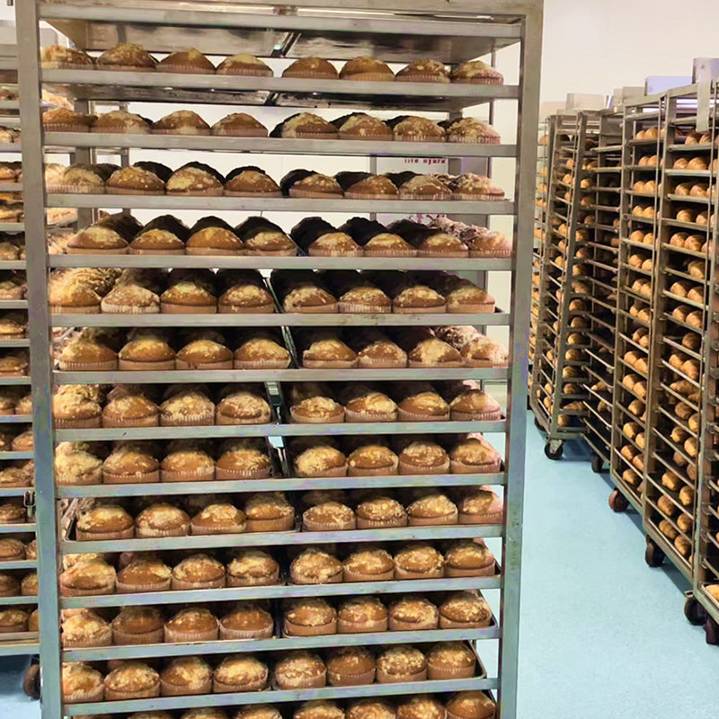 Single Deck 2 Trays Oven Bakery Kitchen Baking for Bread Pizza