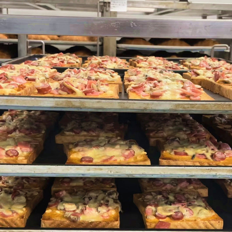 Single Deck 2 Trays Oven Bakery Kitchen Baking for Bread Pizza