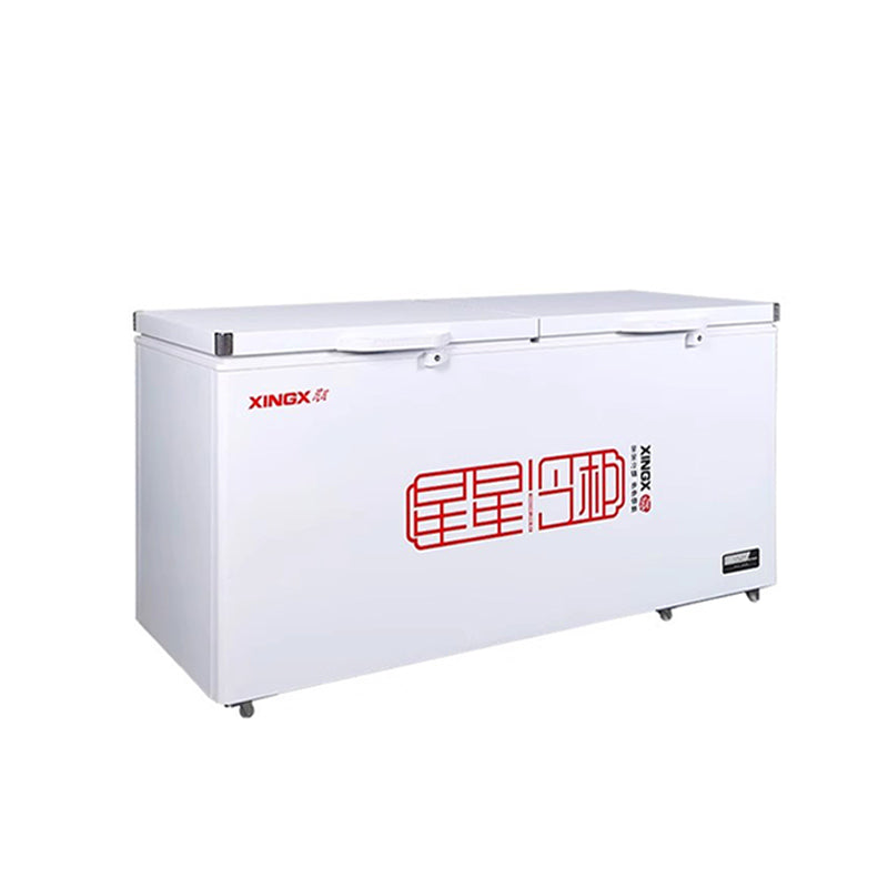 Commercial fully frozen freezer(BD/BC-518GD)