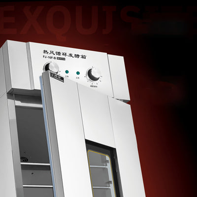 Hot air circulation fermentation box FJ13F-B