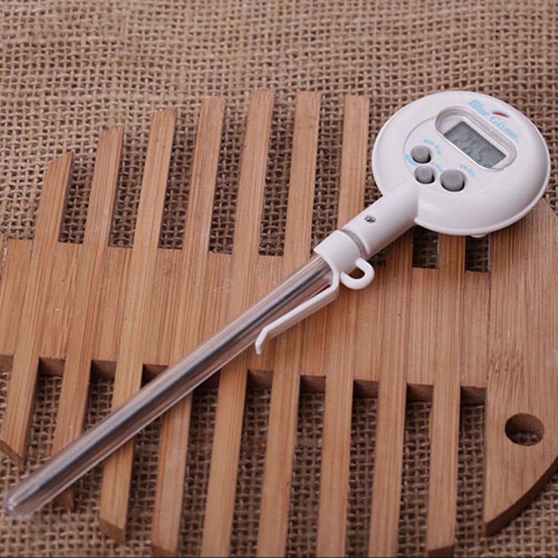 Electronic waterproof thermometer