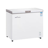 Single-temperature horizontal freezer（Sui Ling）