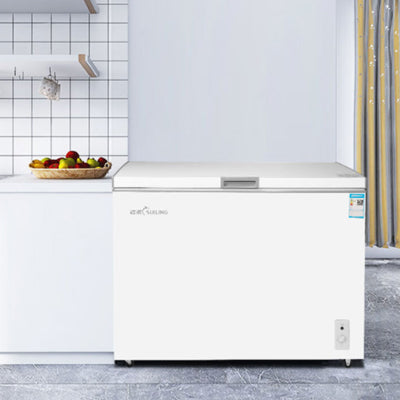 Single-temperature horizontal freezer（Sui Ling）