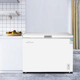 Single-temperature horizontal freezer（Sui Ling）