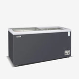 Xingxing quick-freezing freezer (SD/SC-1030B)