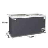 Xingxing quick-freezing freezer (SD/SC-1030B)