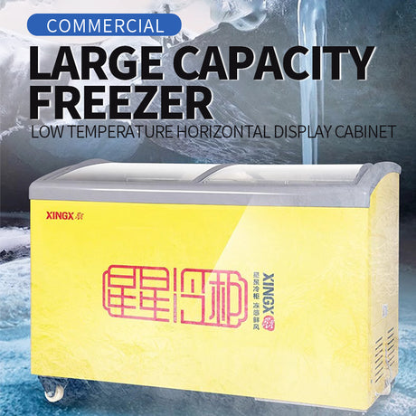 Commercial fully frozen freezer（SD/SC-246SY）